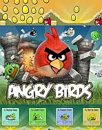 Obal-Angry Birds