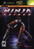 Obal-Ninja Gaiden