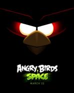 Obal-Angry Birds Space