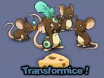 Obal-Transformice