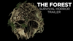 The Forest