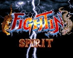 Fightin Spirit