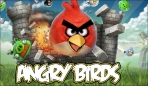 Obal-Angry Birds