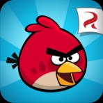 Obal-Angry Birds