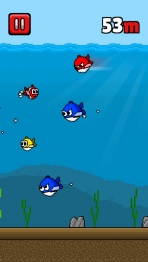 Obal-Mini Fish