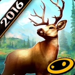 Obal-Deer Hunter 2016