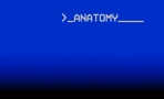 Obal-Anatomy