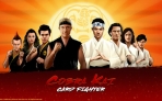 Obal-Cobra Kai: Card Fighter