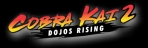 Obal-Cobra Kai 2: Dojos Rising