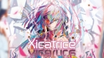 Obal-Xicatrice