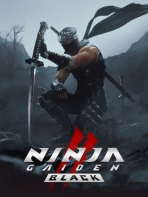 Obal-Ninja Gaiden II Black