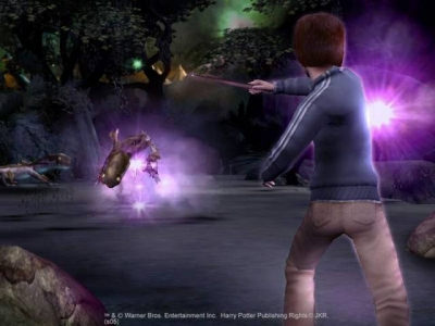 Screen ze hry Harry Potter and the Goblet of Fire