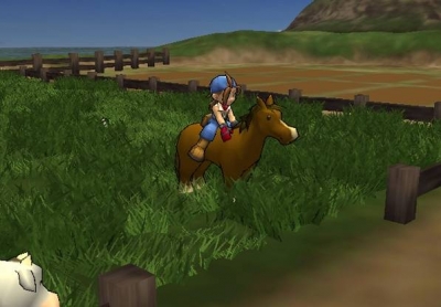 Screen ze hry Harvest Moon: Save the Homeland