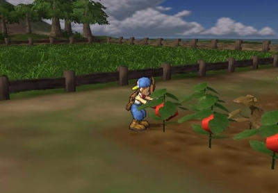 Screen ze hry Harvest Moon: Save the Homeland