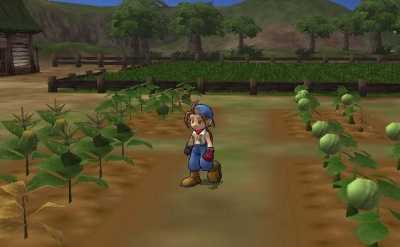 Screen ze hry Harvest Moon: Save the Homeland