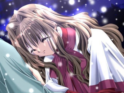 Screen ze hry Kanon