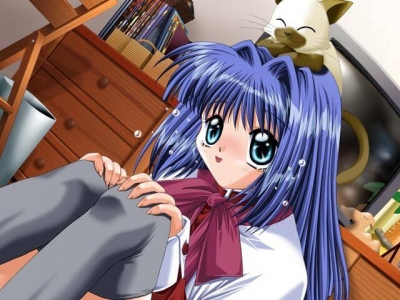 Screen ze hry Kanon
