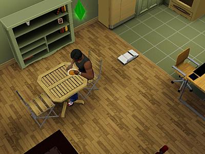 Screen ze hry The Sims 3