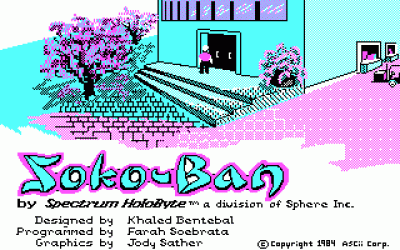 Screen ze hry Sokoban