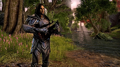 Screen ze hry Elder Scrolls Online