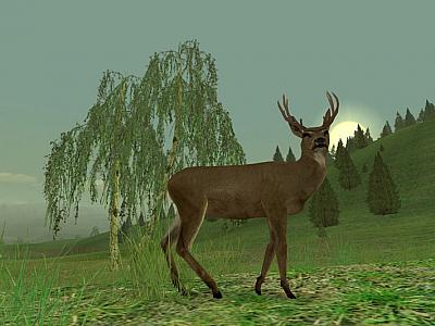 Screen ze hry Hunting Unlimited 3