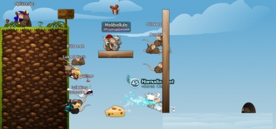 Screen ze hry Transformice