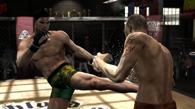 Screen ze hry Supremacy MMA