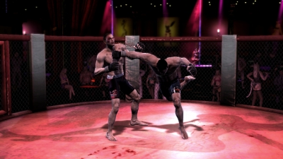 Screen ze hry Supremacy MMA