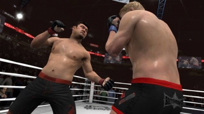 Screen ze hry EA Sports MMA