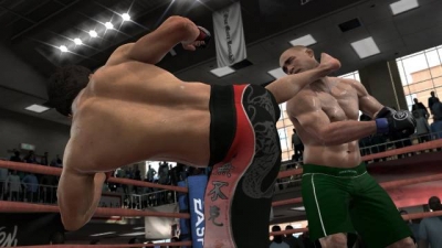 Screen ze hry EA Sports MMA