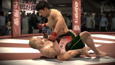 Screen ze hry EA Sports MMA