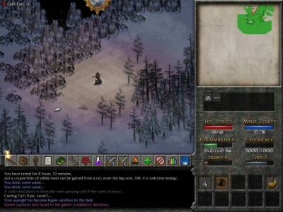 Screen ze hry Eschalon: Book 2