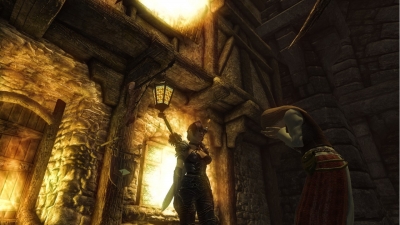 Screen ze hry Divinity II: Developers Cut