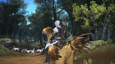 Screen ze hry Final Fantasy XIV: A Realm Reborn