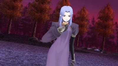Screen ze hry Fate/Unlimited Codes