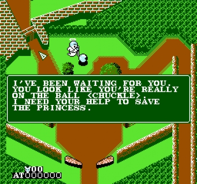Screen ze hry Pinball Quest