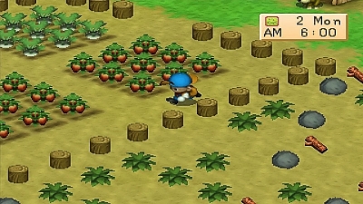 Screen ze hry Harvest Moon 64