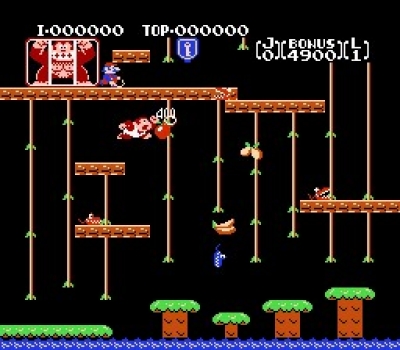 Screen ze hry Donkey Kong Jr.