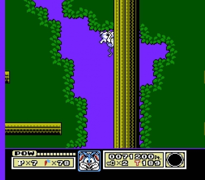Screen ze hry Tiny Toon Adventures