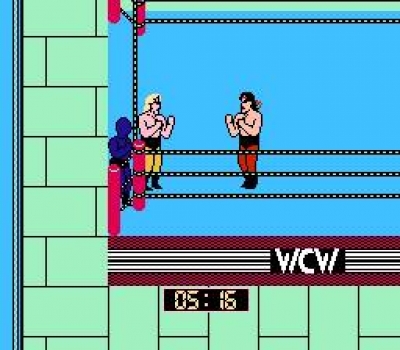Screen ze hry World Championship Wrestling