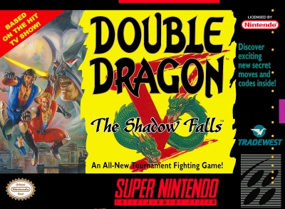 Obal hry Double Dragon V: The Shadow Falls
