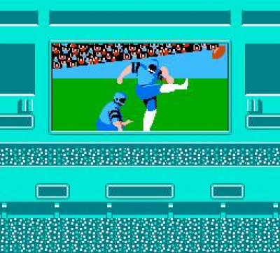 Screen ze hry NES Play Action Football