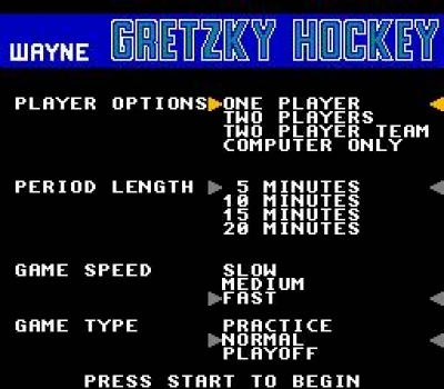 Screen ze hry Wayne Gretzky Hockey