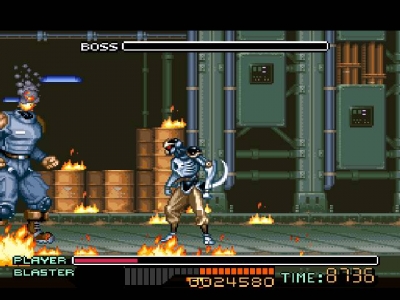 Screen ze hry Ninja Warriors