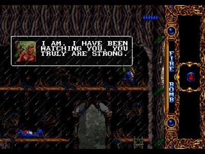 Screen ze hry Blackthorne