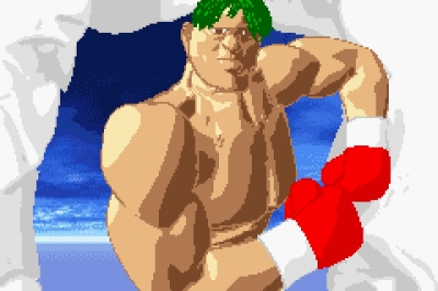 Screen ze hry Boxing Fever