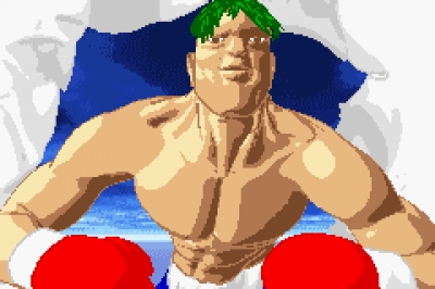 Screen ze hry Boxing Fever