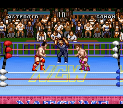 Screen ze hry Natsume Championship Wrestling