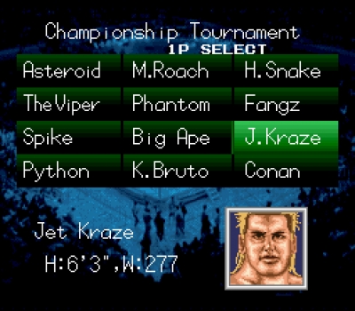 Screen ze hry Natsume Championship Wrestling