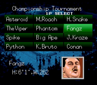 Screen ze hry Natsume Championship Wrestling